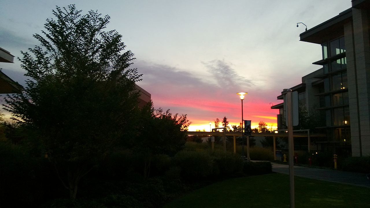 Microsoft Build 2012 - Campus Sunrise